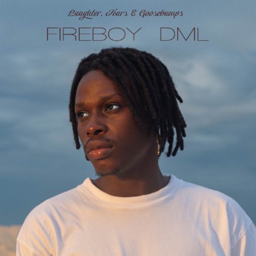 [Album] Fireboy DML – Laughter, Tears & Goosebumps 1