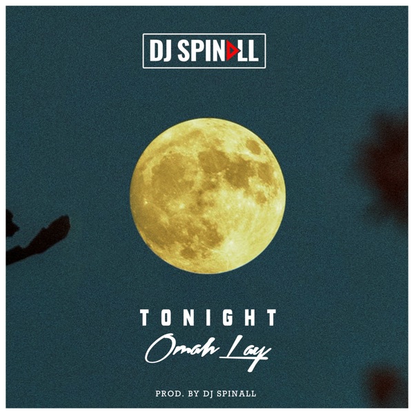 DJ Spinall x Omah Lay – “Tonight” 21