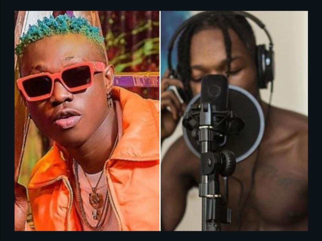 You Need A Dope Verse To Complete Your Song, Who Would You Choose Between Zlatan & Naira Marley? 3