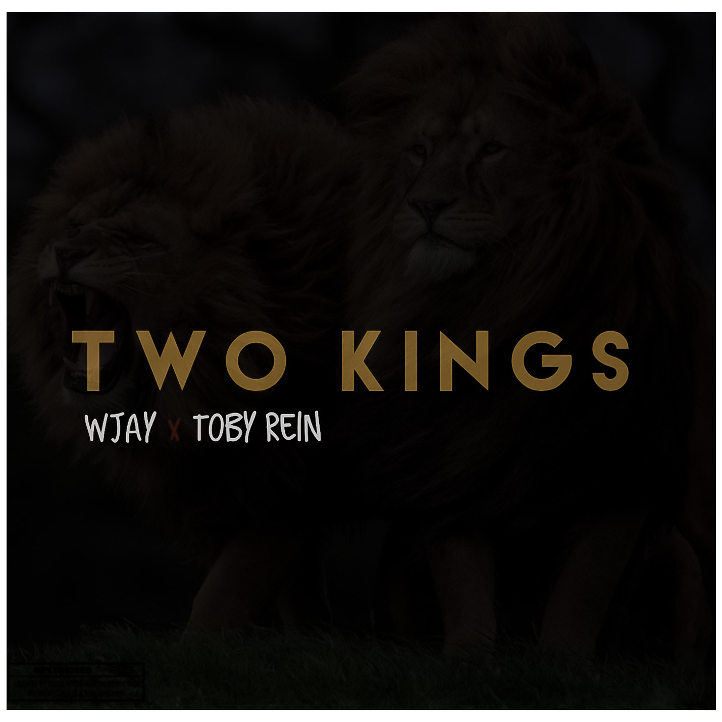 Wjay -"Two Kings" Ft Toby Rein 2