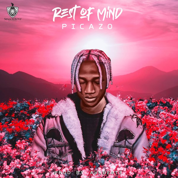 Picazo – “Rest Of Mind” 6