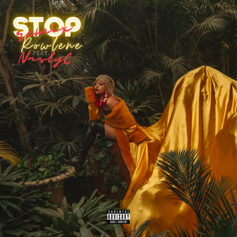 Rowlene ft. Nasty C – “Stop” (Remix) 25