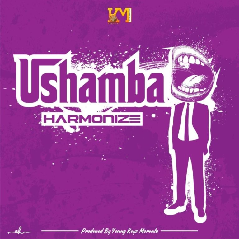 [Video + Audio] Harmonize – “Ushamba” 2