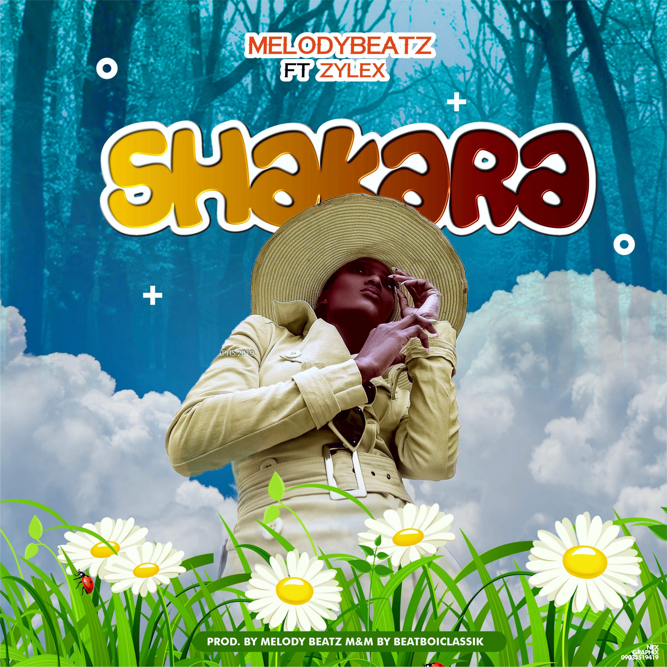 Melody Beat - Shakara ft Zylex 1