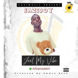 Eaziboy -"Feel My Vibe" 1