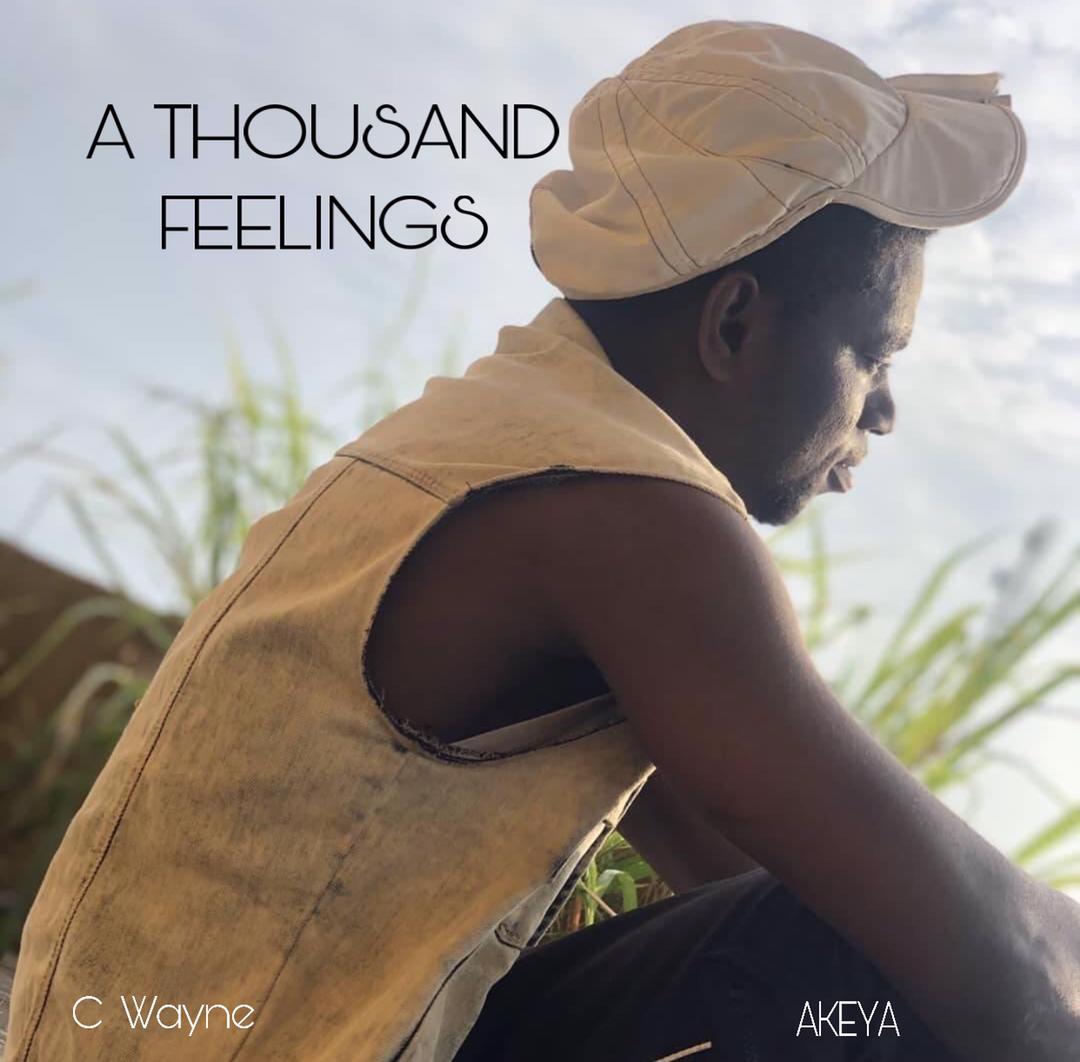 More 5days To Go Till The Release Of "A Thousand Feelings" By C Wayne 2