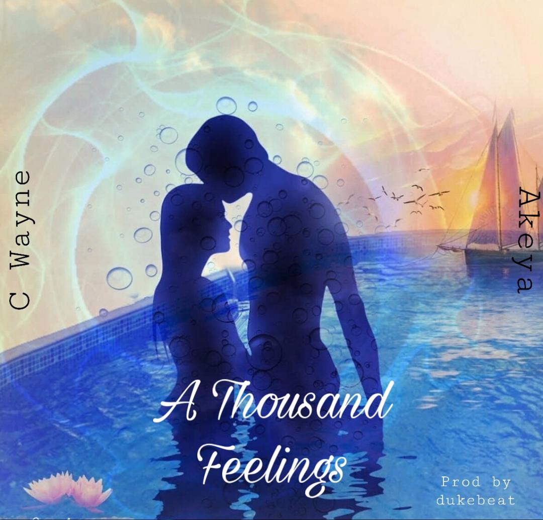 C Wayne - A Thousand Feelings Feat Akeya 3