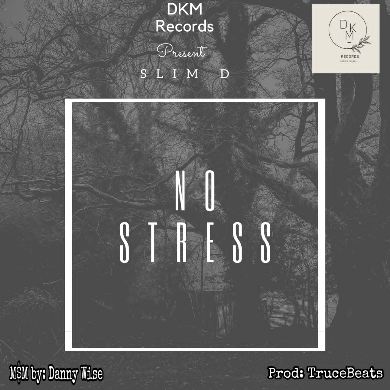 Slim D - "No Stress" (prod. Danny Wise) 22