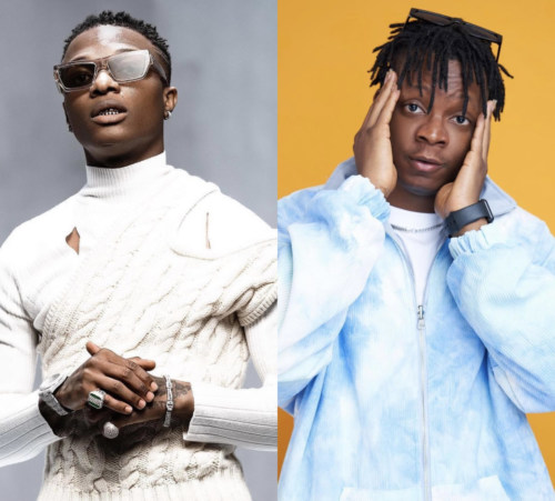 Fan Weeps After Seeing Starboy Terri In Lagos, Calls Out Wizkid 5