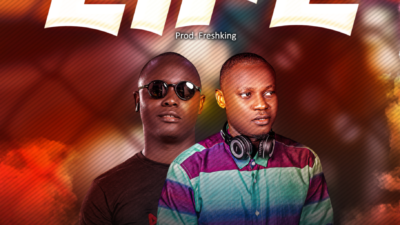 VDJ Harry ft. Freshking – “Life” 6