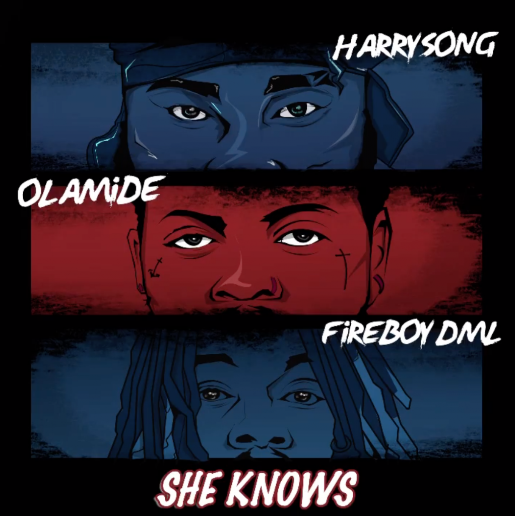 Harrysong – “She Knows” ft. Fireboy DML x Olamide 3