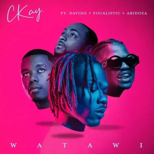 CKay – WATAWI ft. Focalistic, Davido, Abidoza 5