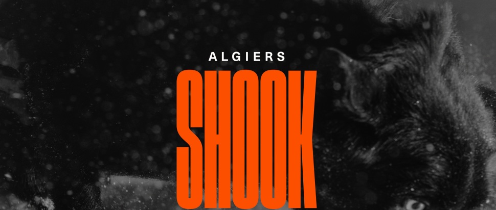 ALBUM: Algiers – Shook 2