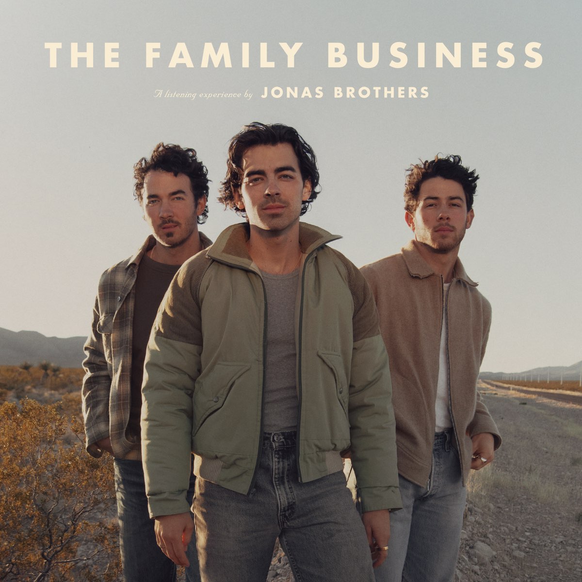 Jonas Brothers The Family Business ALBUM ZIP DOWNLOAD