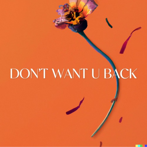 Lucas Larvenz – Don’t Want U Back 1