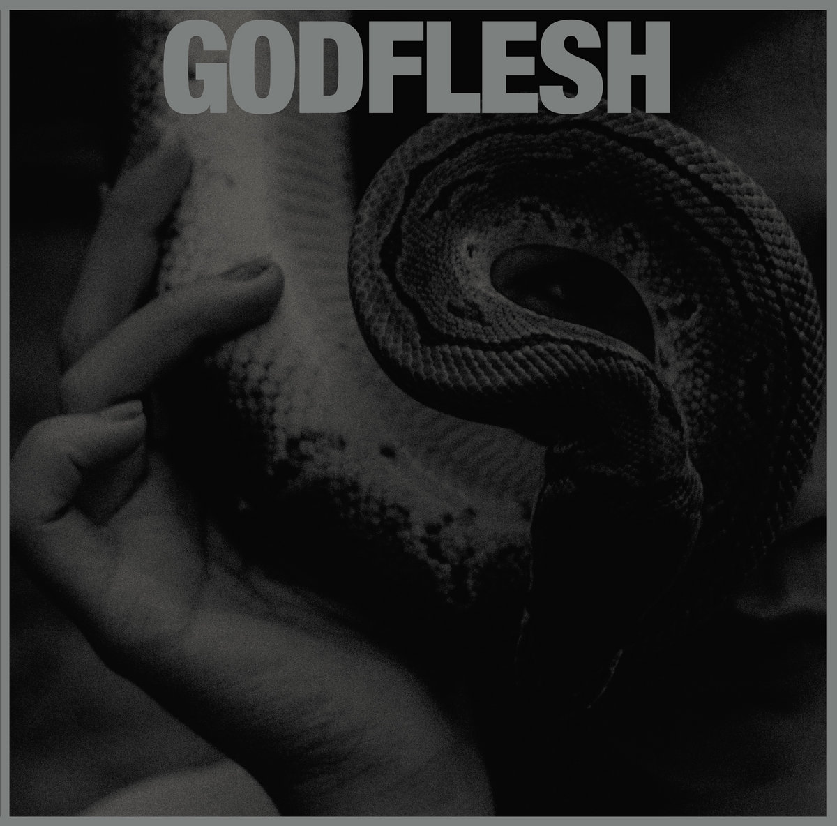 Godflesh Purge Zip Download