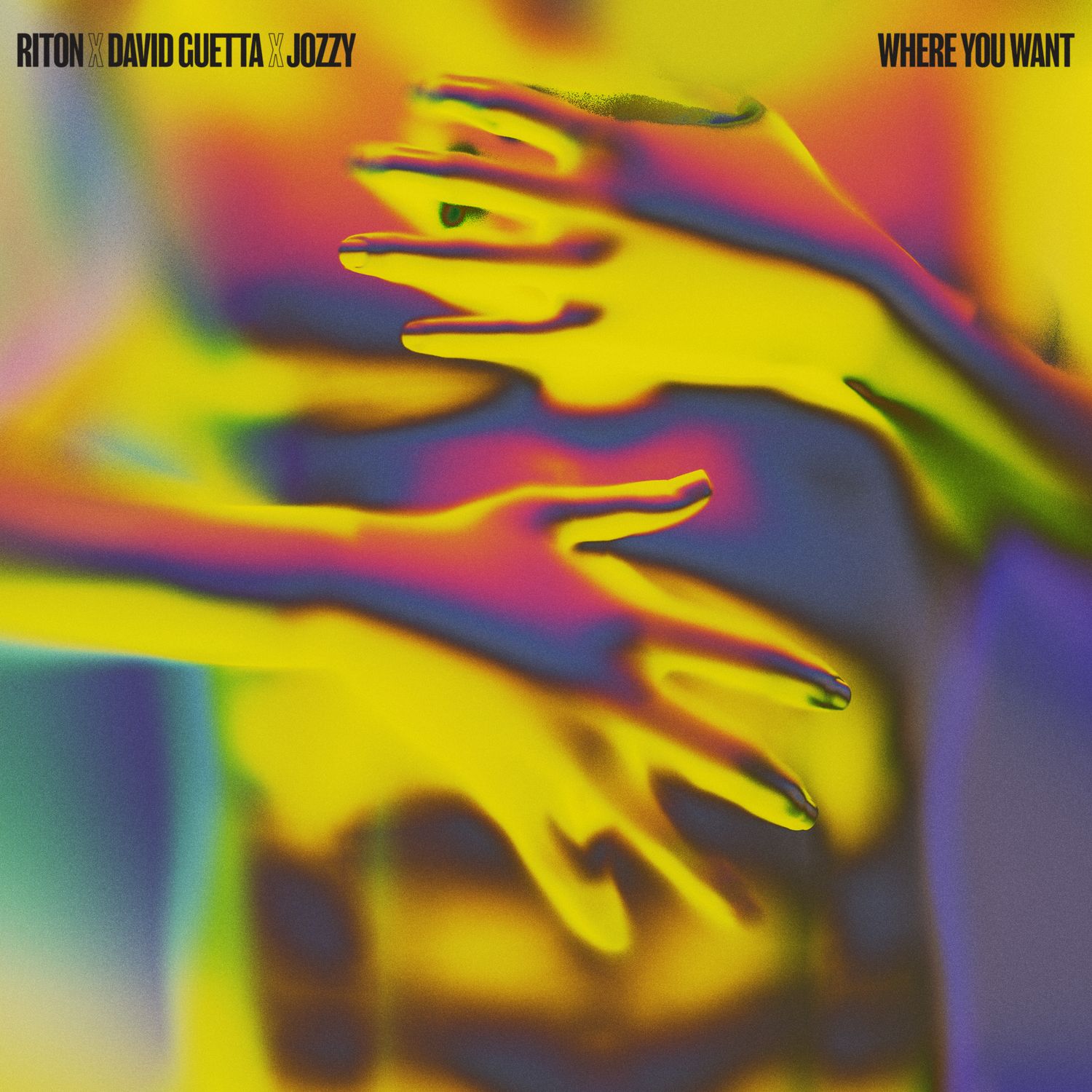 Riton, David Guetta & Jozzy – Where You Want 3