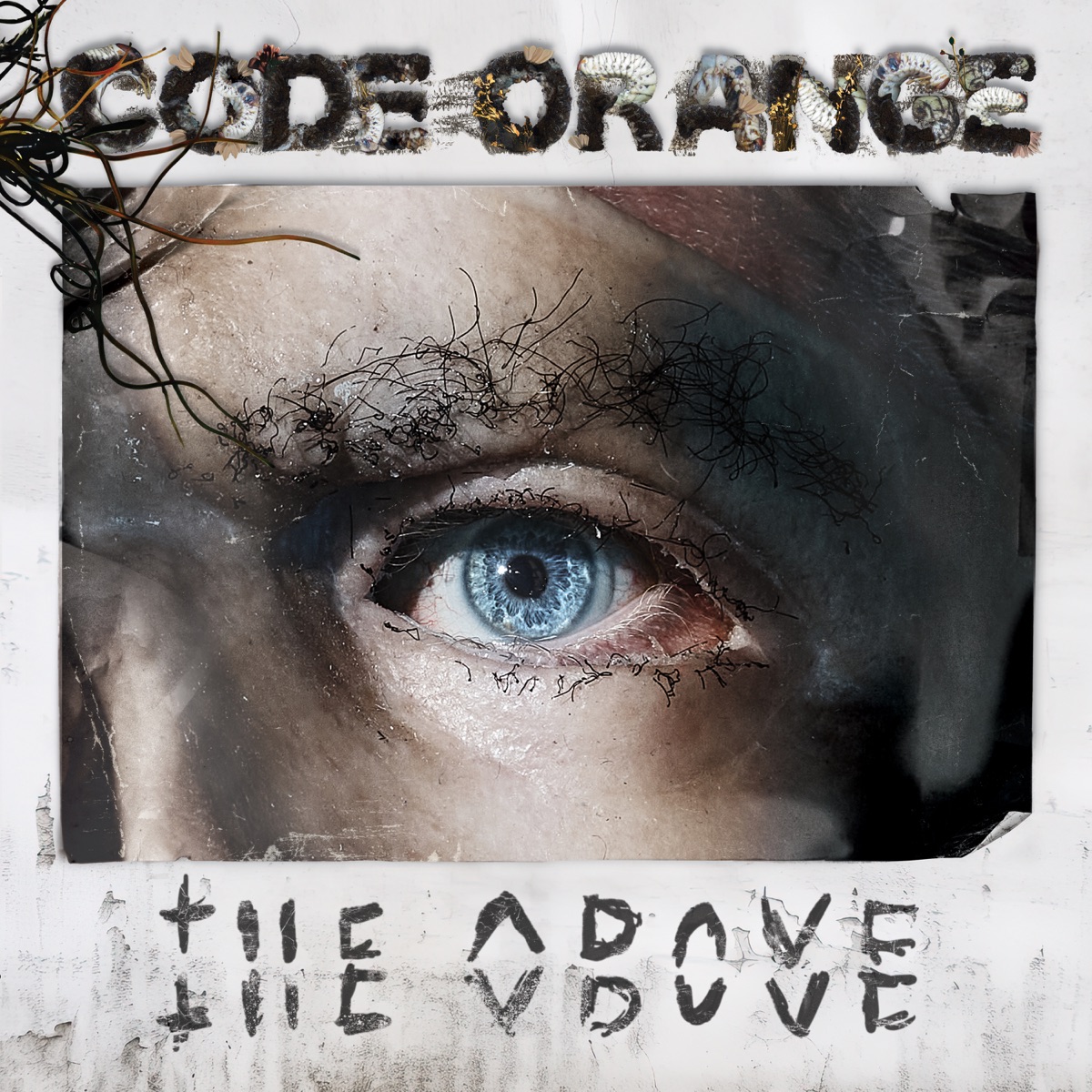 Code Orange – Take Shape Ft. Billy Corgan 1