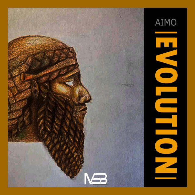 Aimo – Maui 3