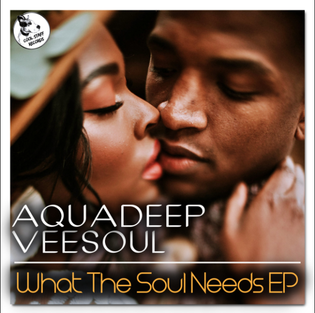 Aquadeep & Veesoul – The Groove Ft. Craig 2