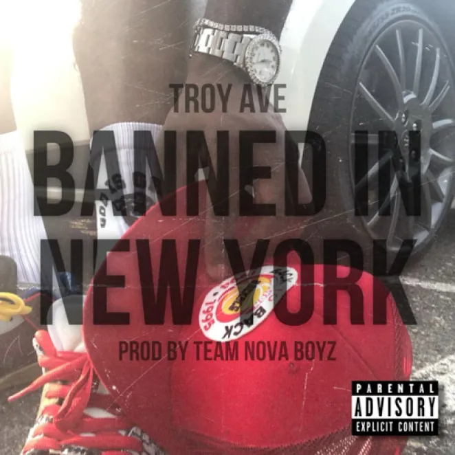 Troy Ave – Banned In New York 2