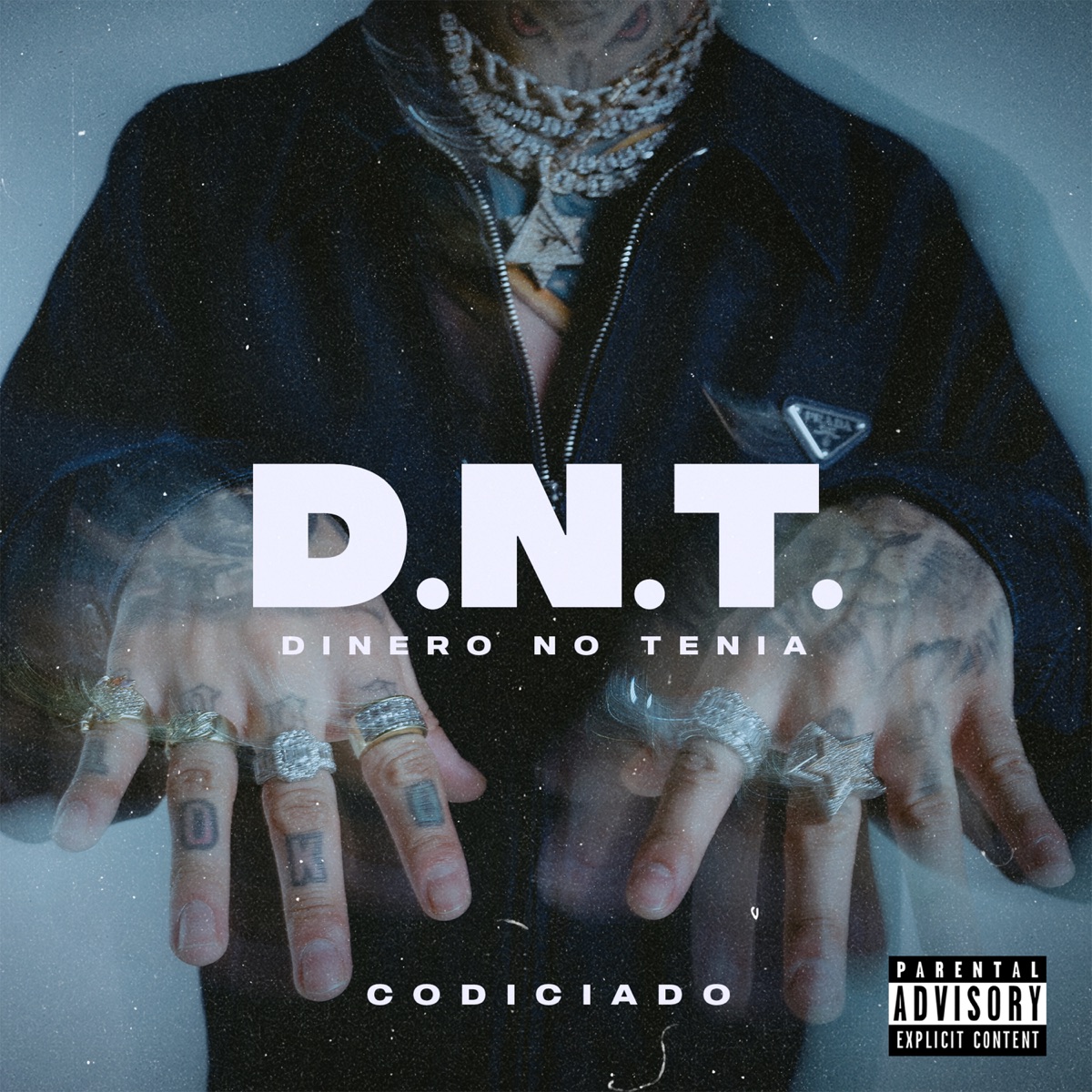 Codiciado Dinero No Tenía Mp3 Download