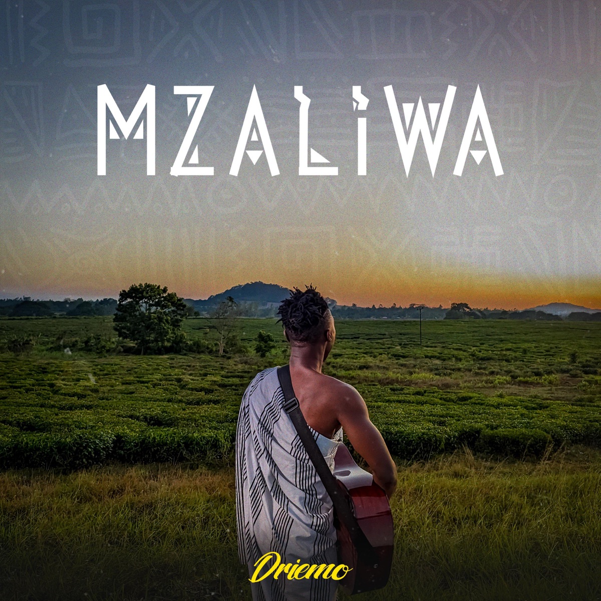 Driemo Mw Loyalty Mp3 Download