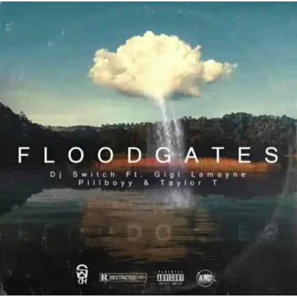 DJ Switch – Floodgates Ft. Gigi Lamayne, Pillboyy & Taylor T 3