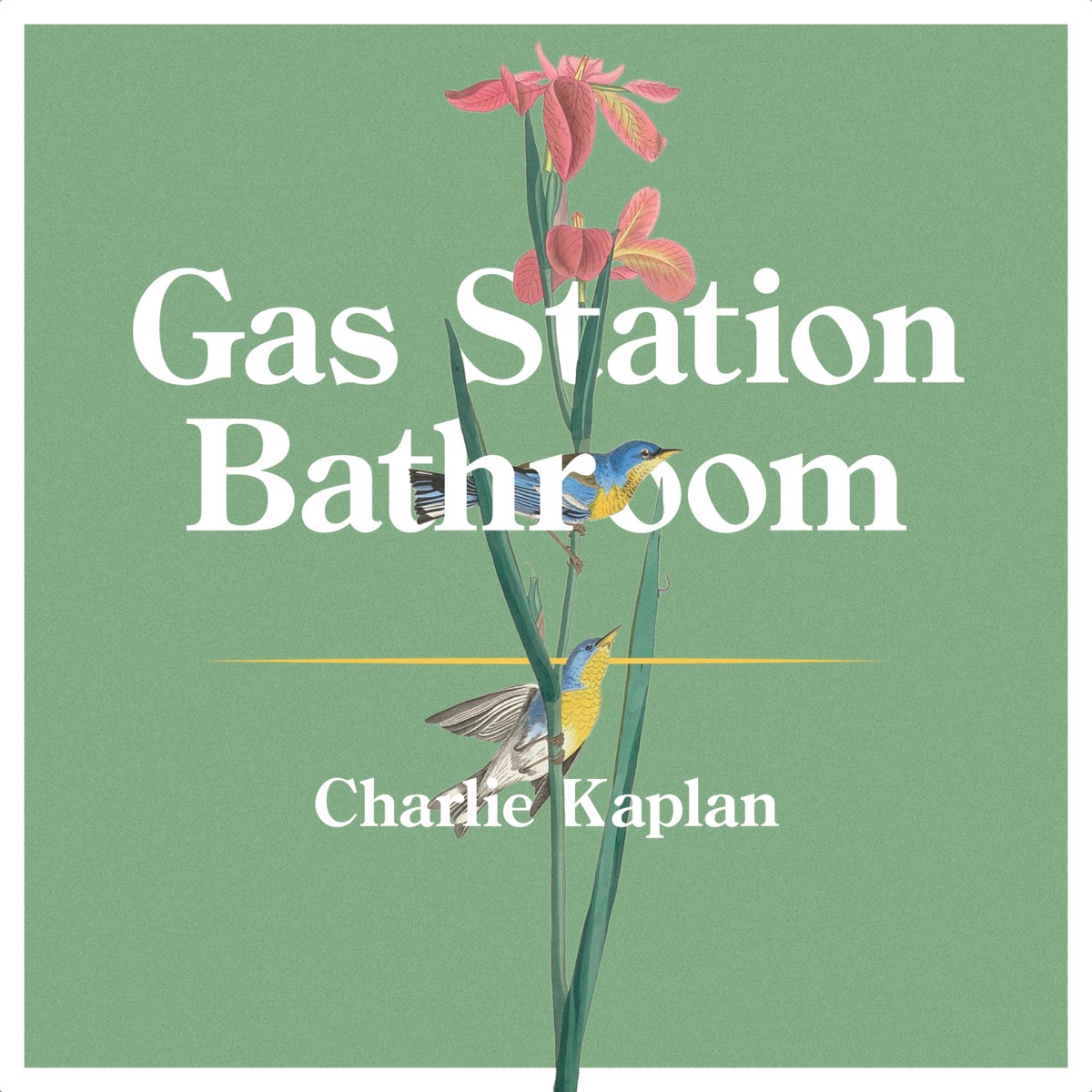 Charlie Kaplan – Gas Station Bathroom 2