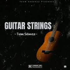 Team Sebenza – Guitar Strings 3