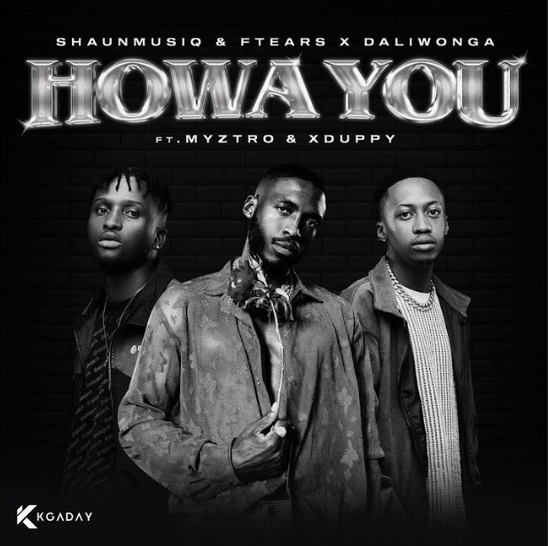 Shaunmusiq – Howa you Ft. Ftears x Daliwonga, Myztro & Xduppy 6