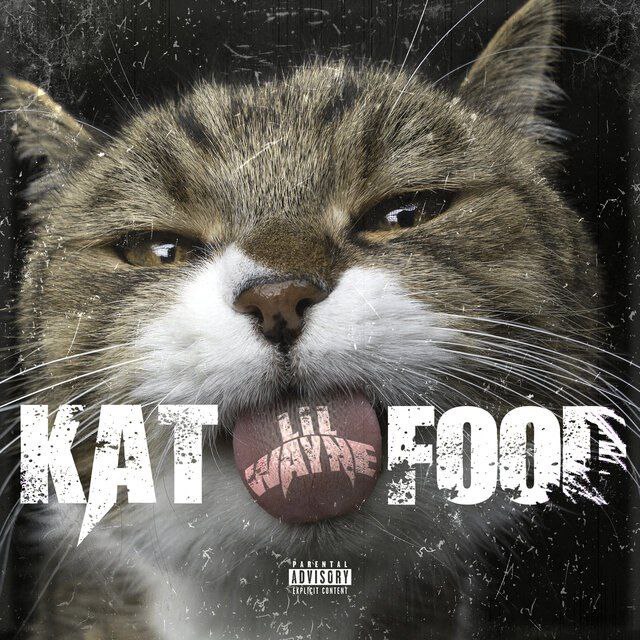 Lil Wayne Kat Food Mp3 Download