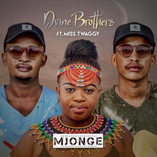 Dvine Brothers & Miss Twaggy – Mjonge 1