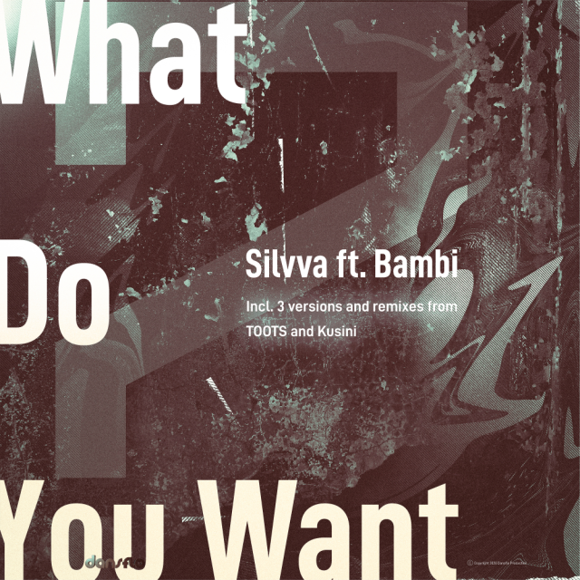 Silvva, Bambi – What Do You Want (Electronic Mix) 2