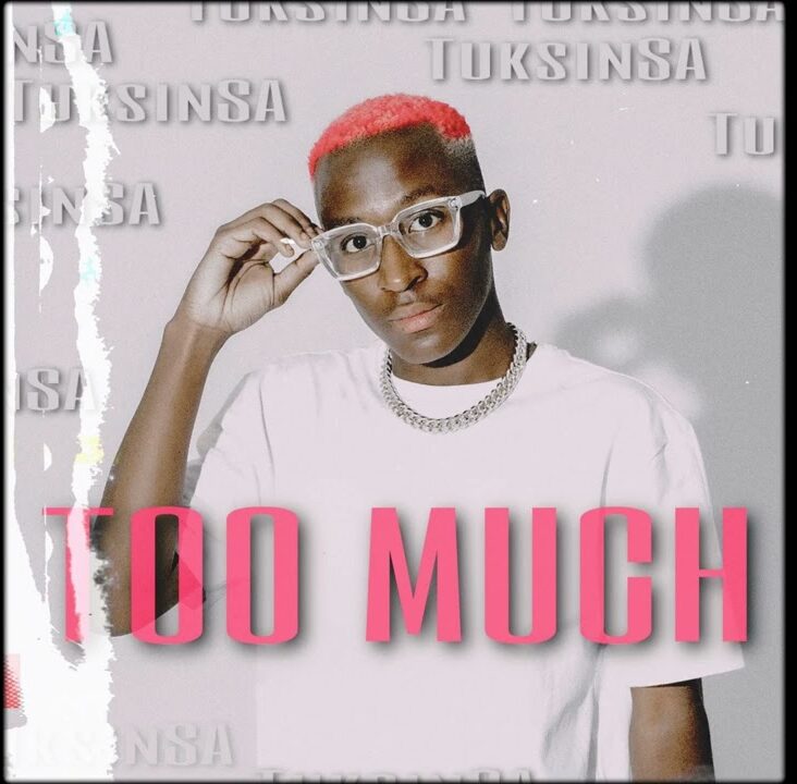 TuksinSA Too Much Mp3 Download