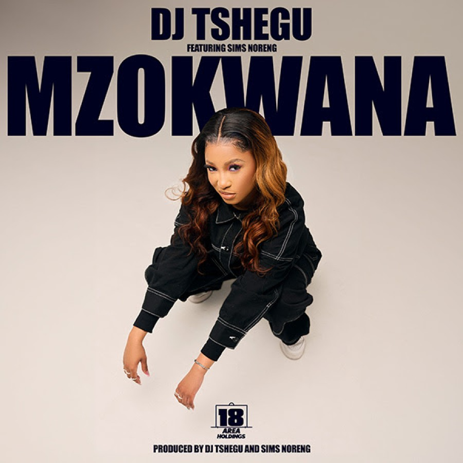 DJ Tshegu Mzokwana Mp3 Download