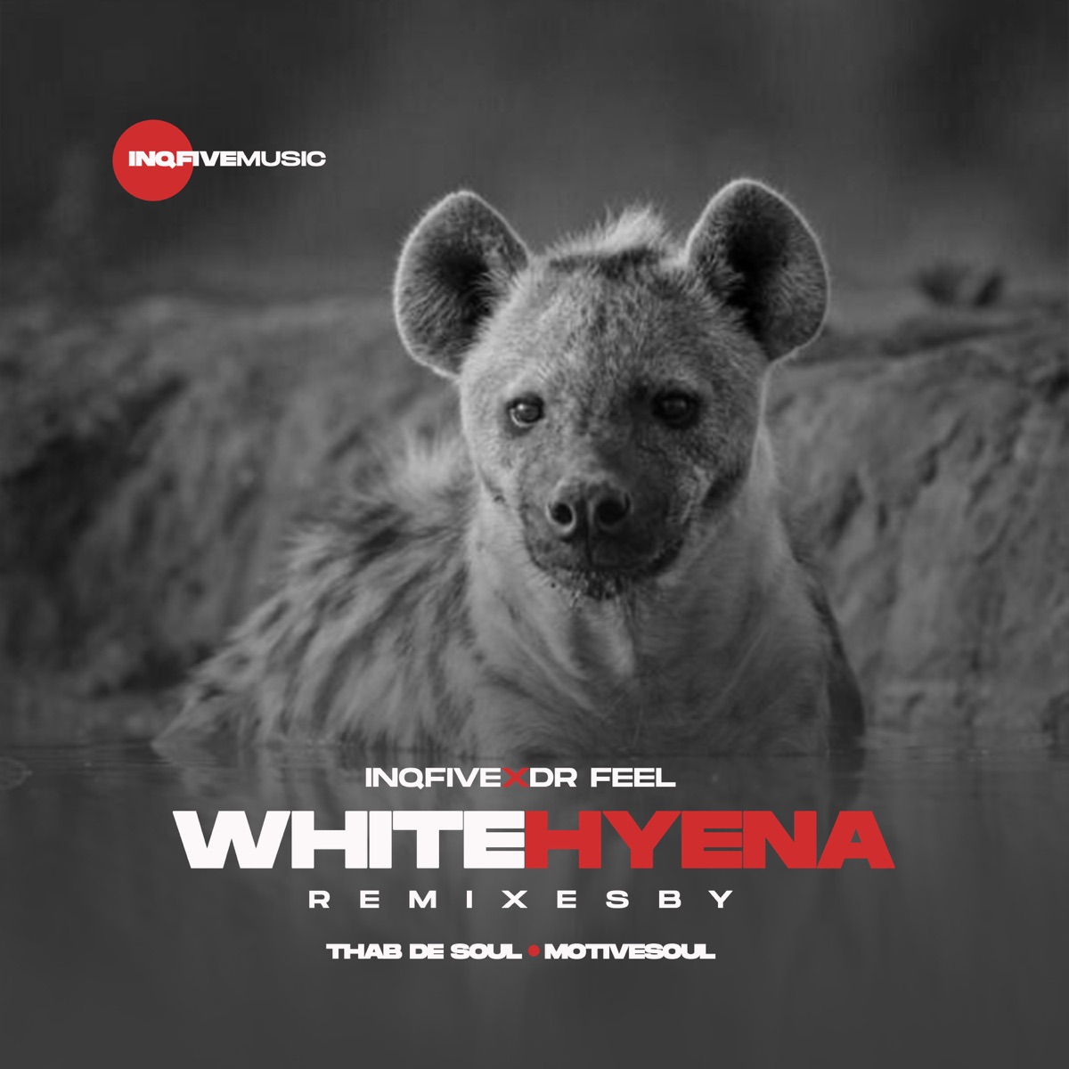 Dr Feel – White Hyena (Motivesoul Remix) 1