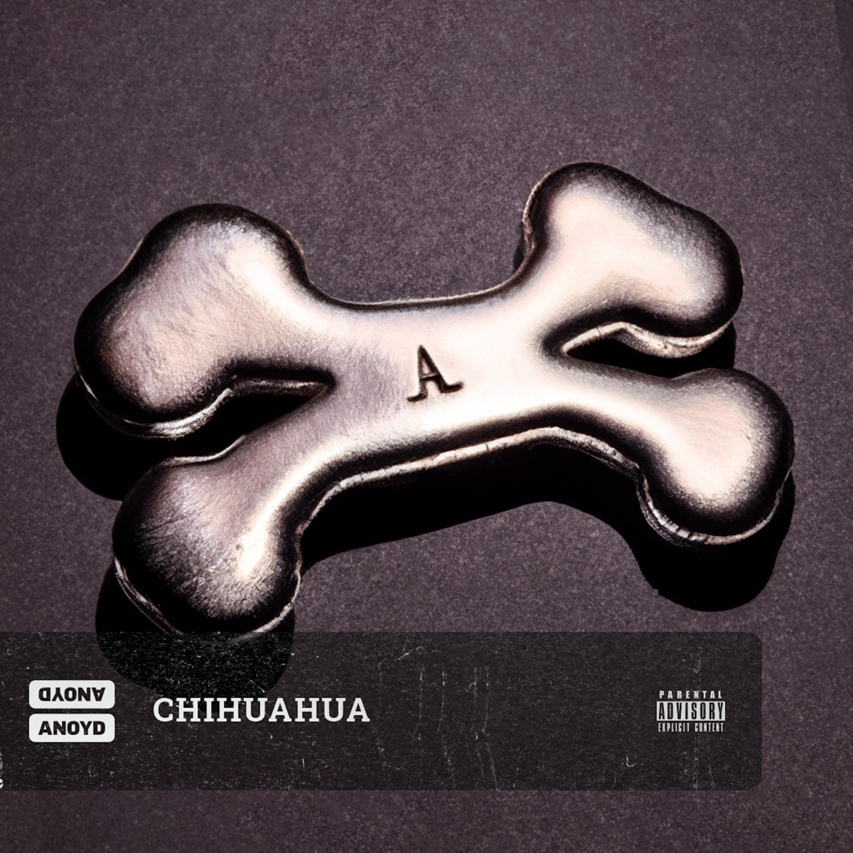 Anoyd – Chihuahua 1