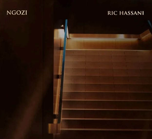 Ric Hassani – Ngozi 1