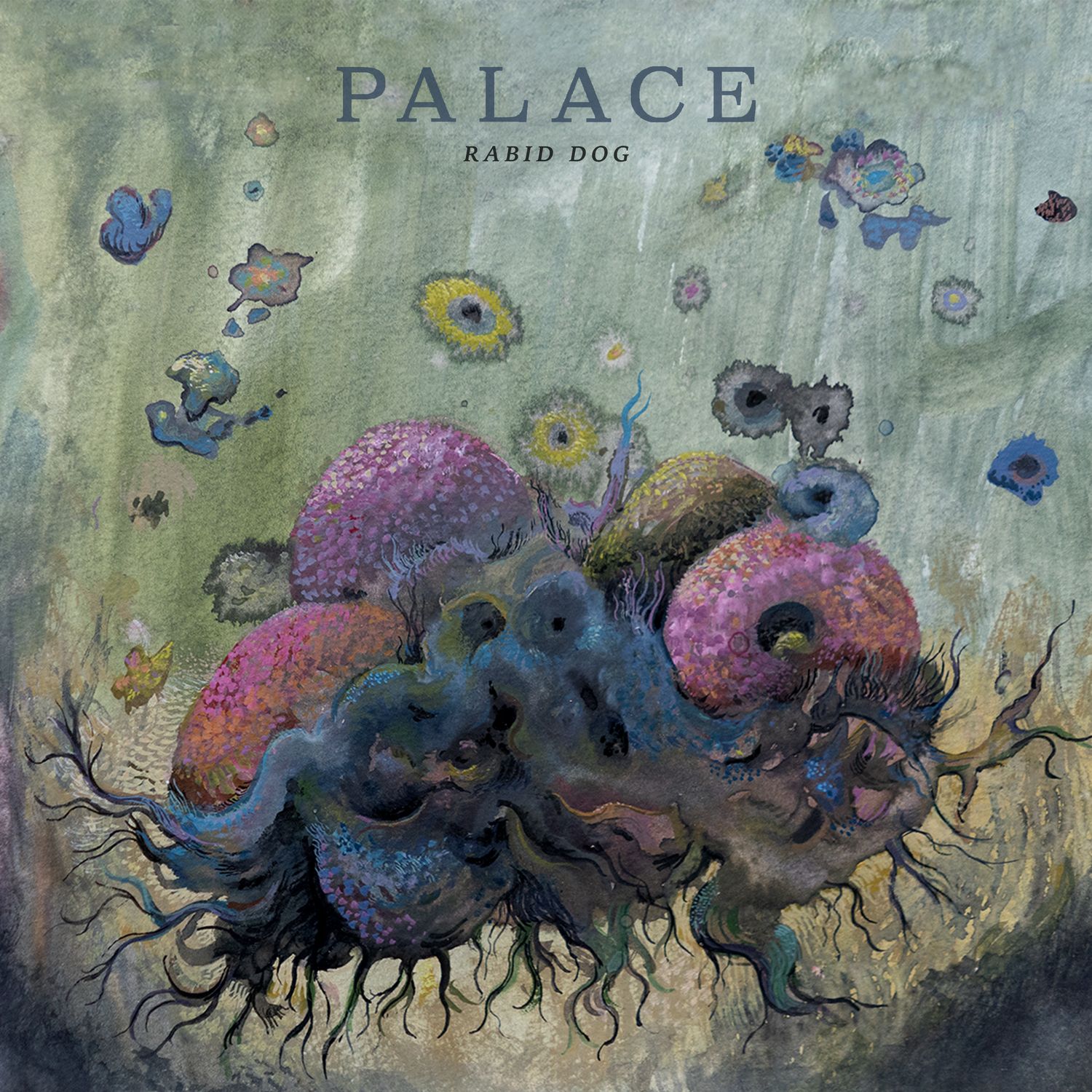 Palace – Rabid Dog 1