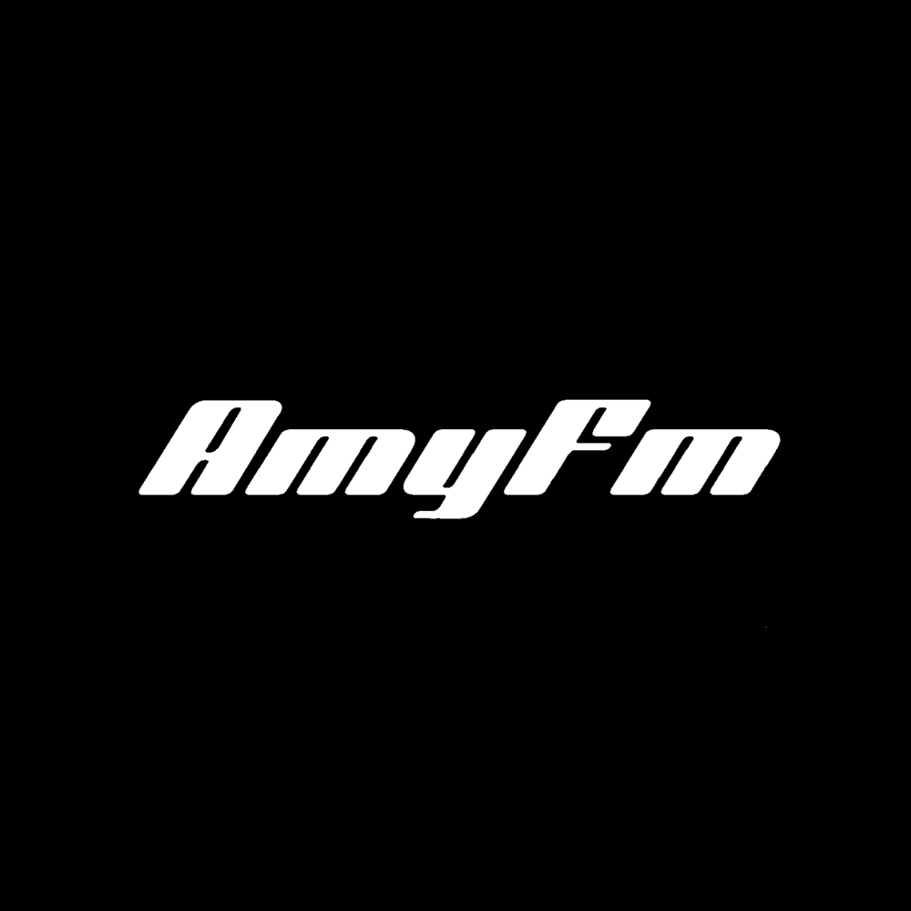 AmyFM – MINDFIELDS. 2