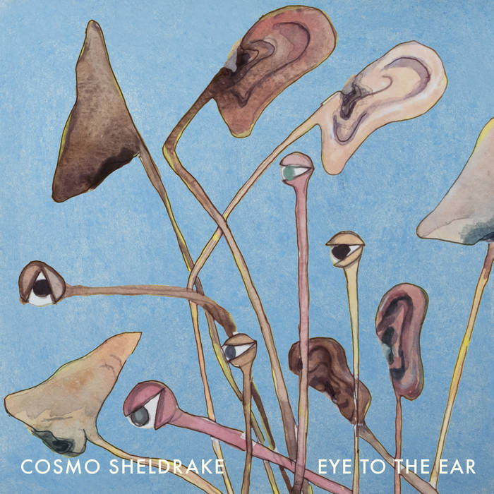 Cosmo Sheldrake – Stop the Music 1