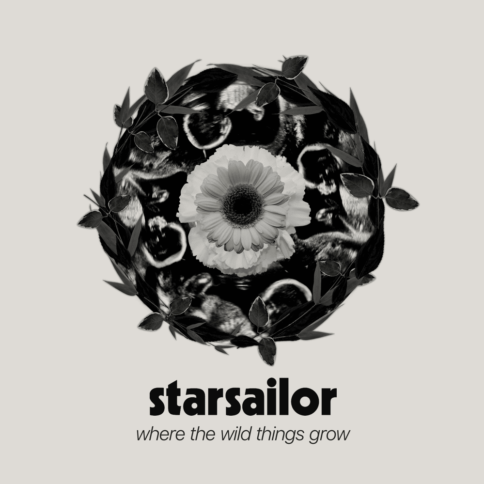 Starsailor – Where The Wild Things Grow [Album] 1