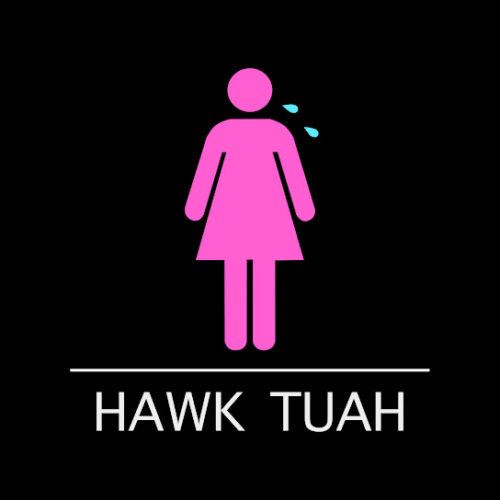 ANTH – Hawk Tuah Ft. Conor Maynard & Corey Nyell 2