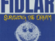 FIDLAR – Surviving the Dream [Album] 2