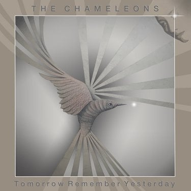 The Chameleons Tomorrow Remember Yesterday Zip Download